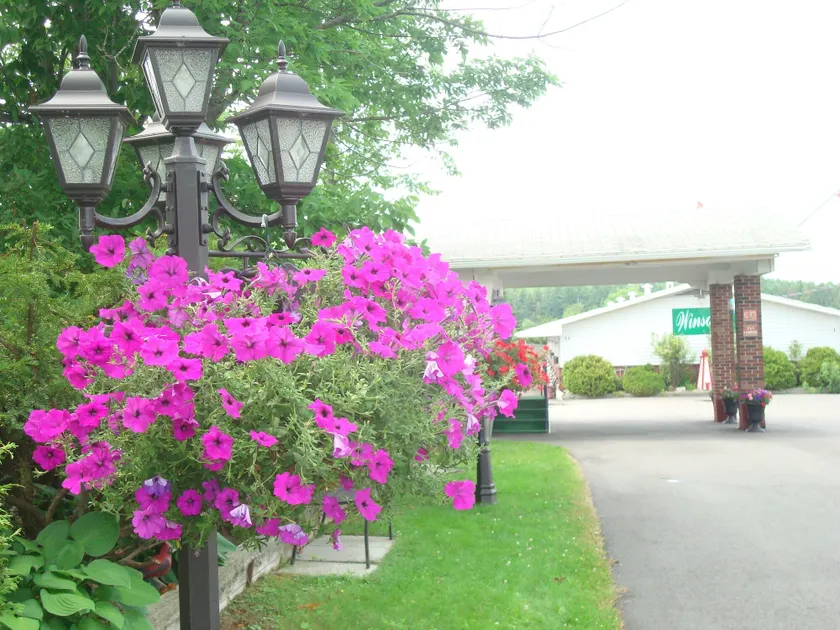 Winsome Inn - Image 1