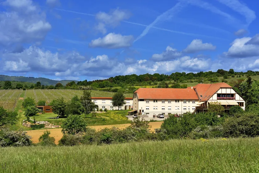 Hôtel du Bollenberg - Restaurant "Côté Plaine" - Spa de la Colline - Image 1