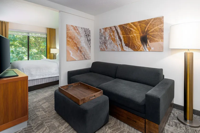SpringHill Suites Asheville - Image 1