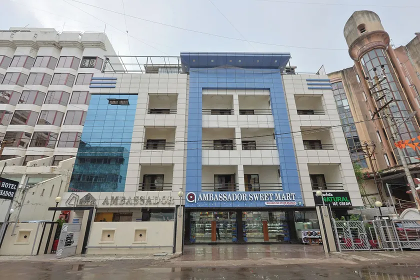 The Ambassador - Image 1