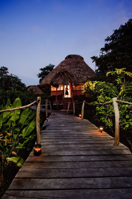 Cotton Tree Lodge - Image 1