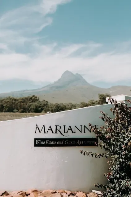 Marianne Wine Estate - Image 1