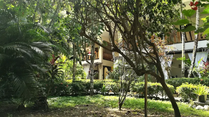 Colibri Apartments - Private kitchen & bathroom - 4 min walk to the Beach! - Image 1