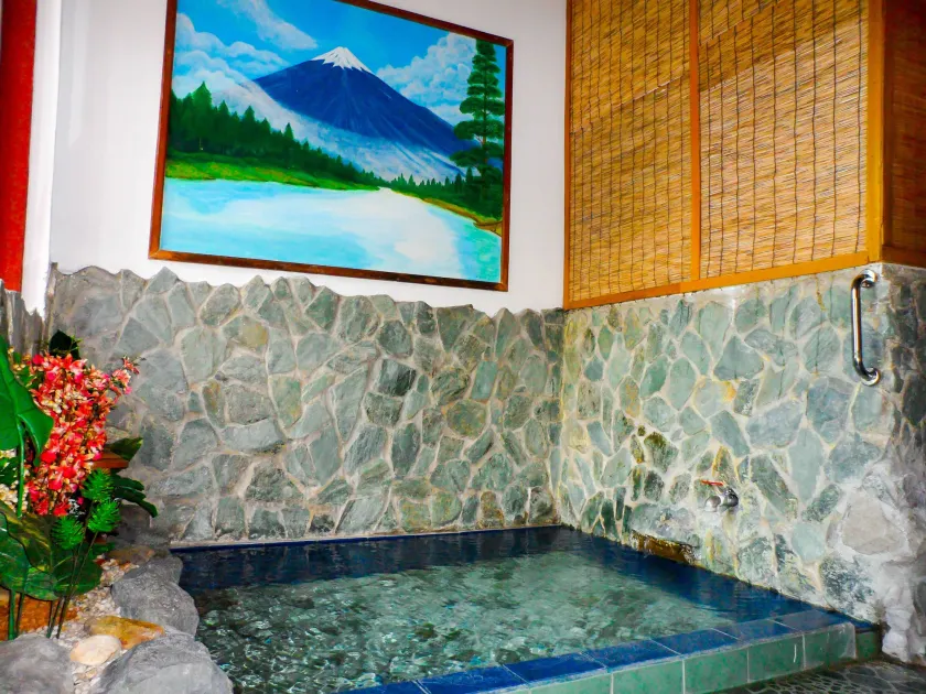 Makiling Onsen Hotel - Image 1