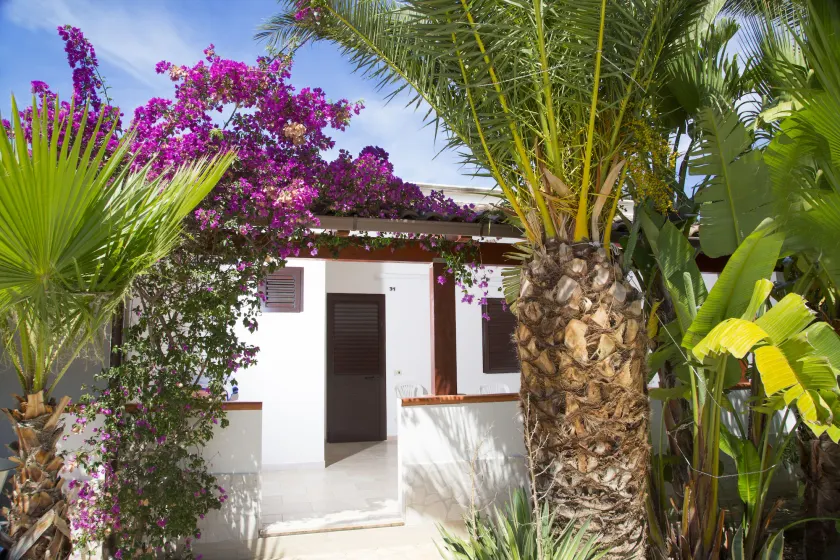 Residence La Conchiglia - Image 1