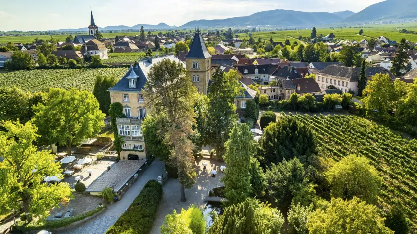 Hotel Schloss Edesheim - Image 1