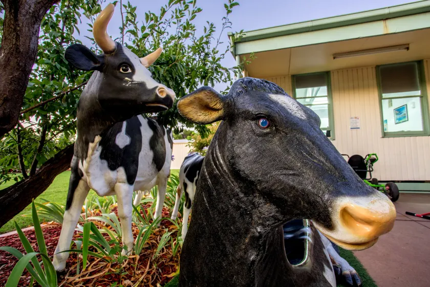 BIG4 Shepparton Park Lane Holiday Park - Image 1