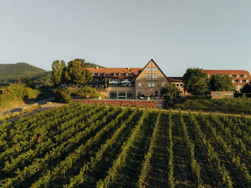 Hotel Leinsweiler Hof - Image 1