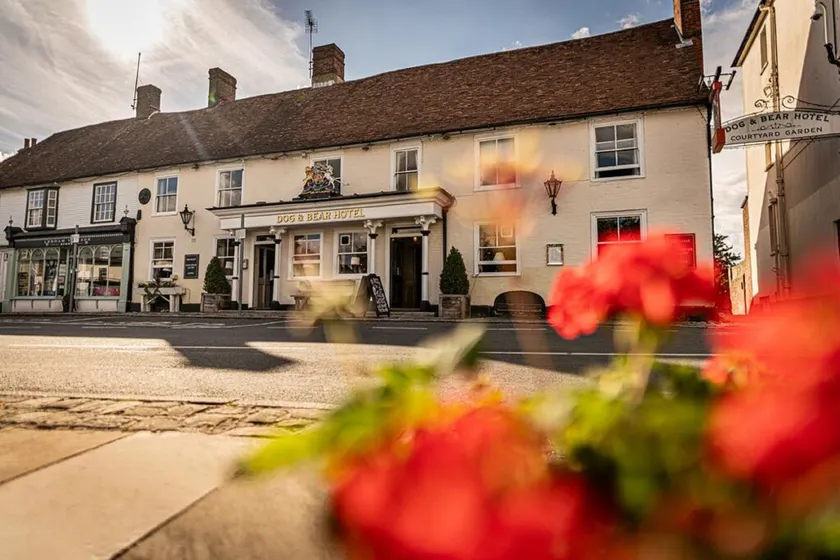 The Dog & Bear Hotel - Image 1