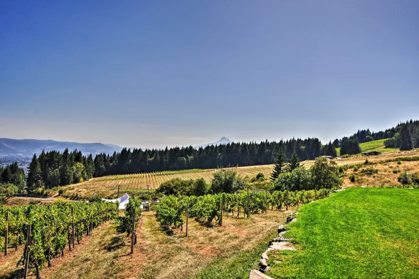 Luxury Home w/ Views - 5 Min to Columbia River - Intérieur