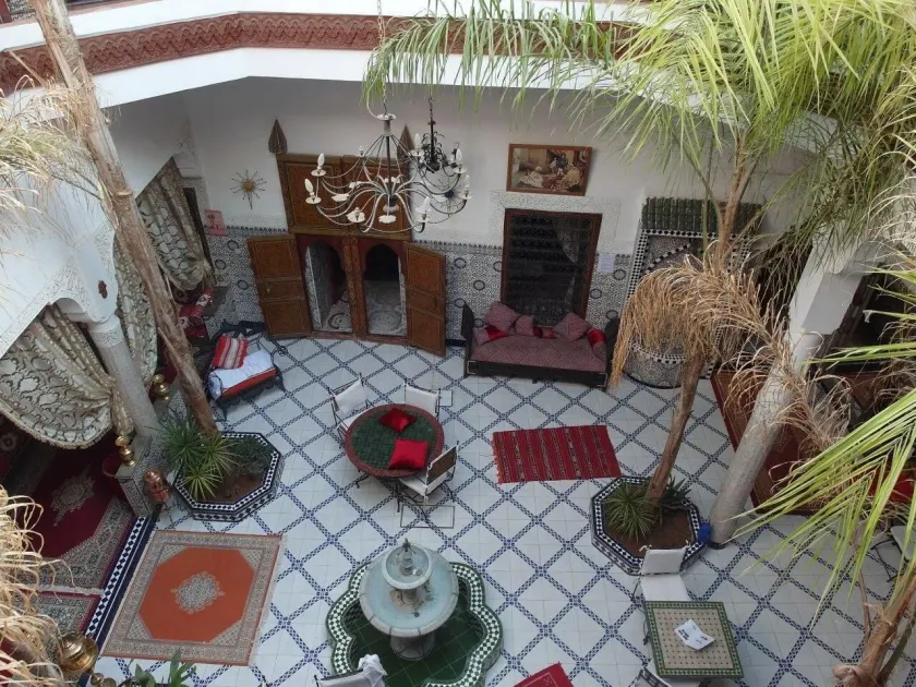 Riad Chennaoui - Image 1