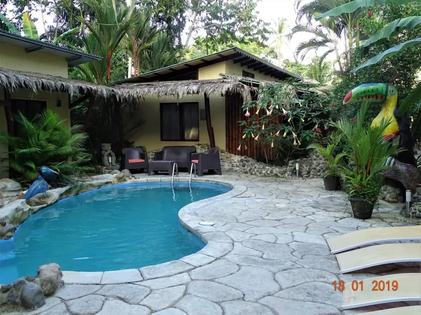 Casa Caribbean Coconut - Image 1