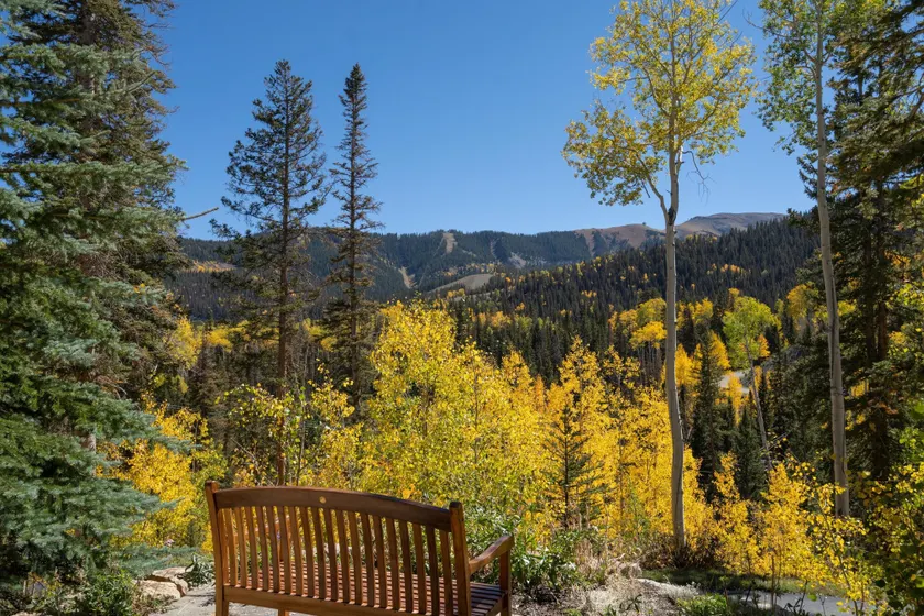 HILLTOP HIDEAWAY: 7 BR / 7. 5 BA à Telluride, pour 18 personnes - Image 1