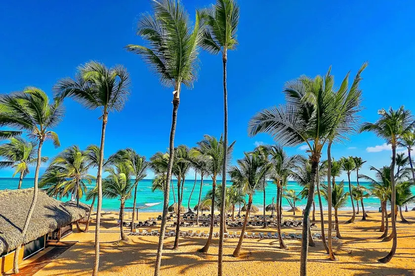 Hotel NEON by Playa Palmera Beach Resort - Image 1