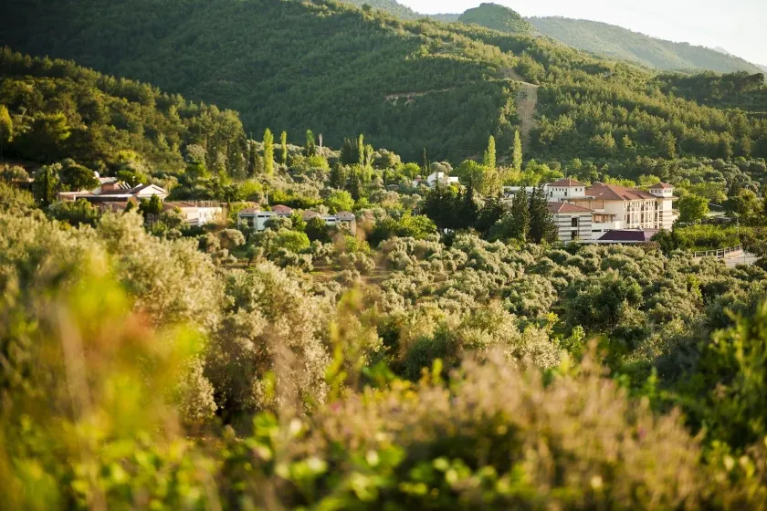 Natur-Med Hot Springs and Health Resort - Image 1