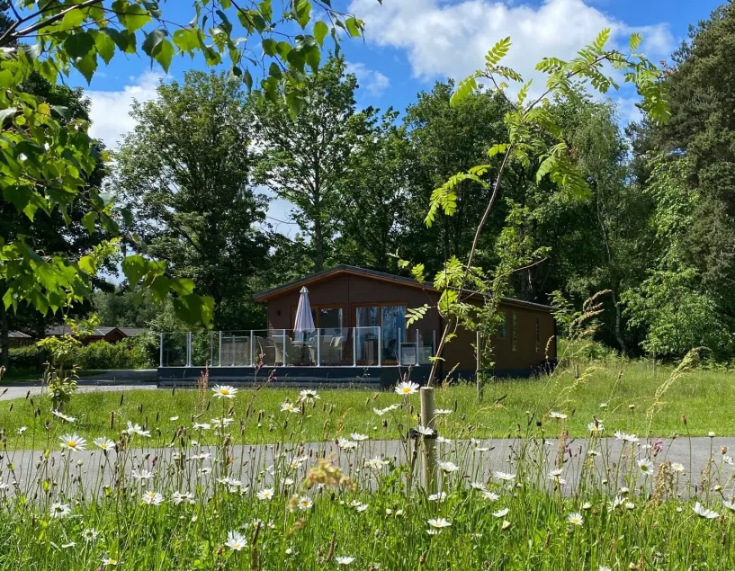 Hollicarrs - Honeycomb Lodge - Image 1