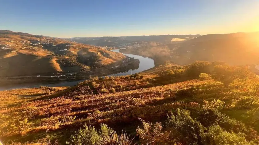 Cozy House with Douro View - Image 1