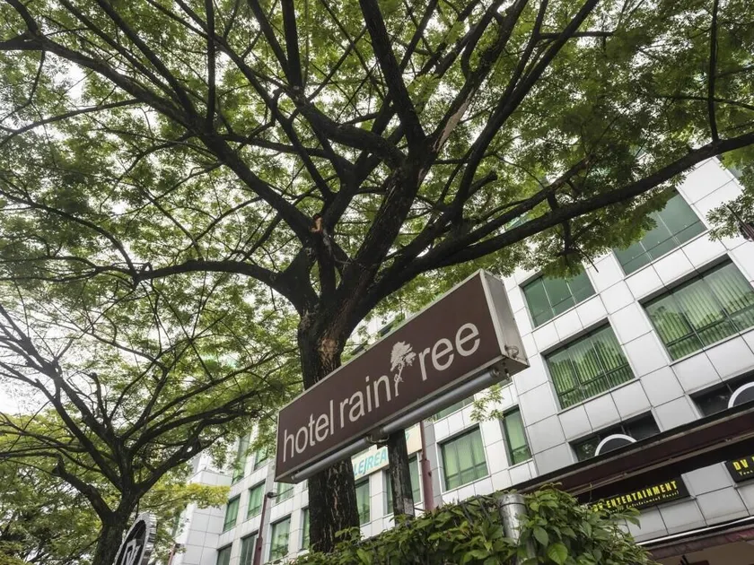 Raintree Hotel - Image 1