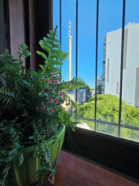 Montevideo Hostel - Image 1