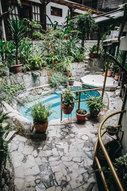 Gringo Bill's Boutique Hotel - Image 1