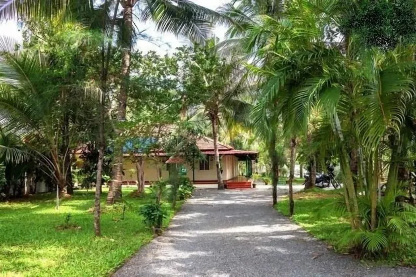 Palm Grove Service Villa - Image 1
