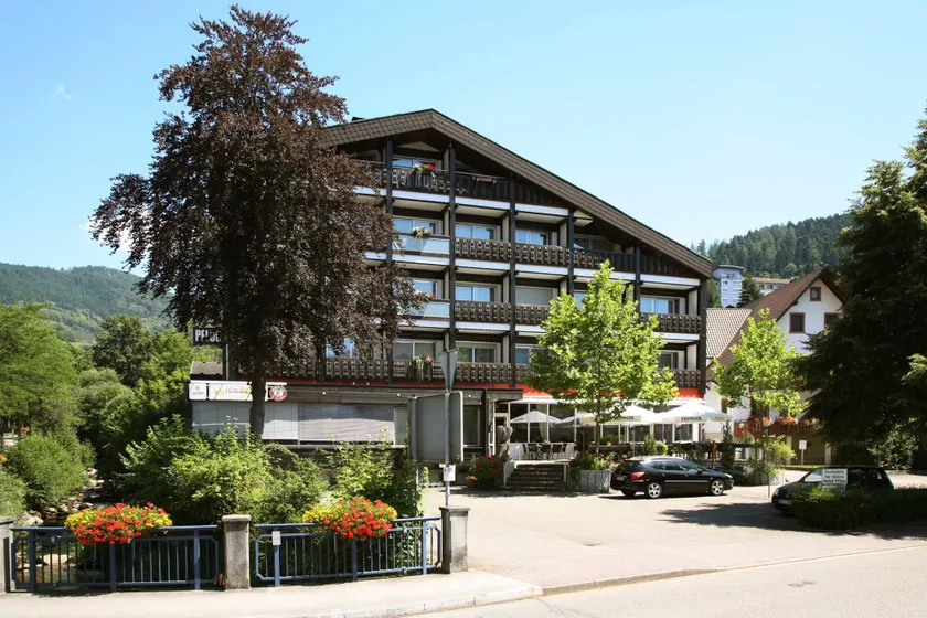 Hotel Pflug - Image 1