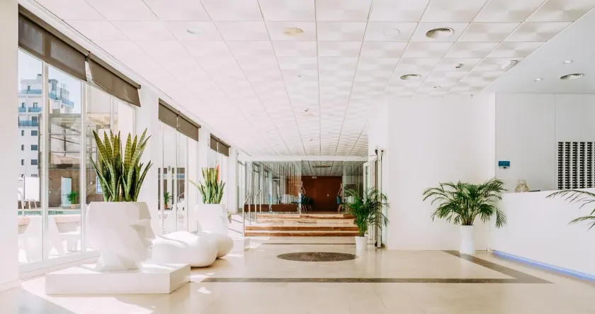 Hotel Safari - Image 1