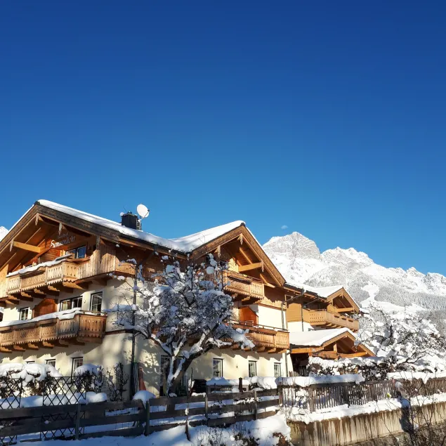 Hotel Sonnenlicht Maria Alm - Image 1