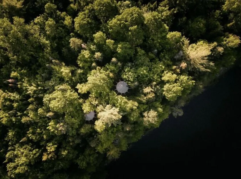Hôtel UNIQ - Forêt Ô Cascades - Tentes Glamping - Image 1