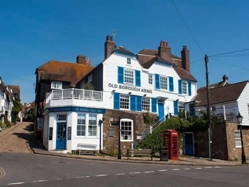 The Old Borough Arms - Image 1