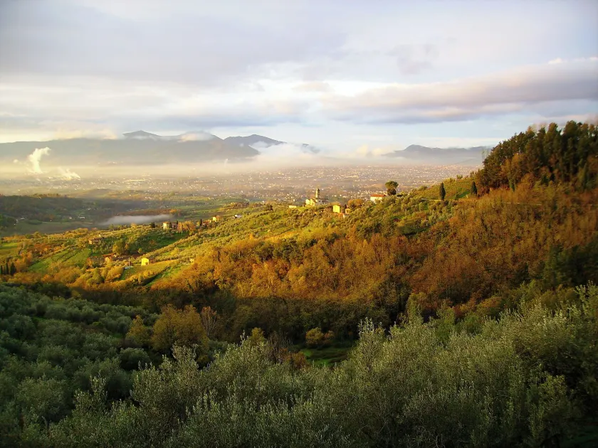 Fattoria Gambaro di Petrognano - Image 1