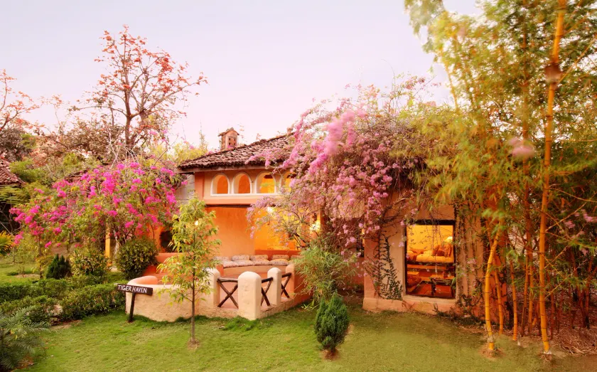Tuli Tiger Resort - Image 1
