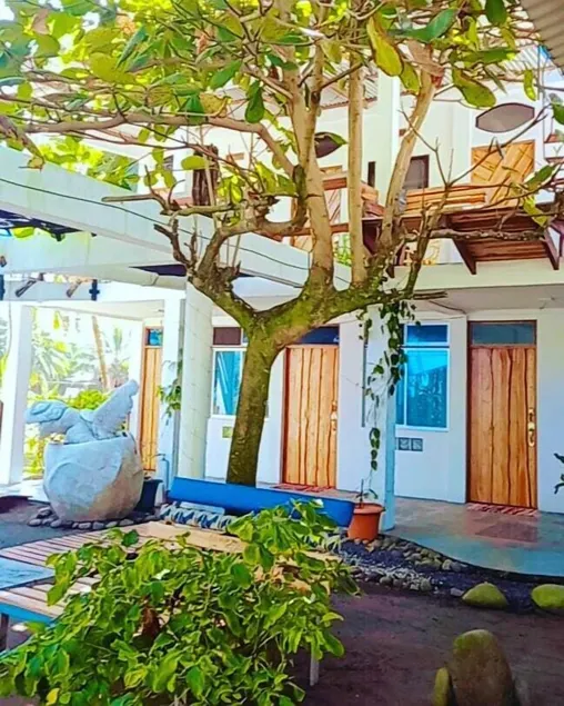 Hotel Pura Natura Beachfront Tortuguero - Image 1
