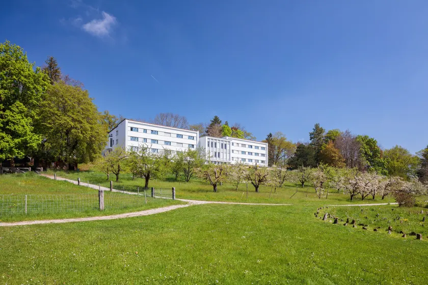 Le Domaine (Swiss Lodge) - Image 1
