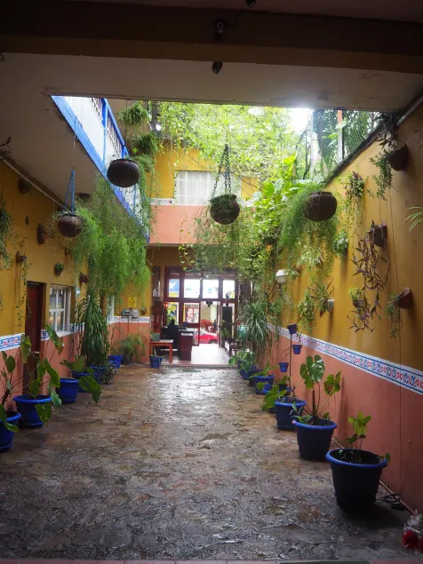 Hotel Don Candido - Image 1