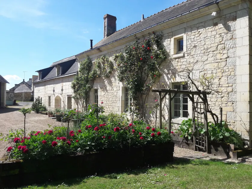 La Cotinière - Image 1