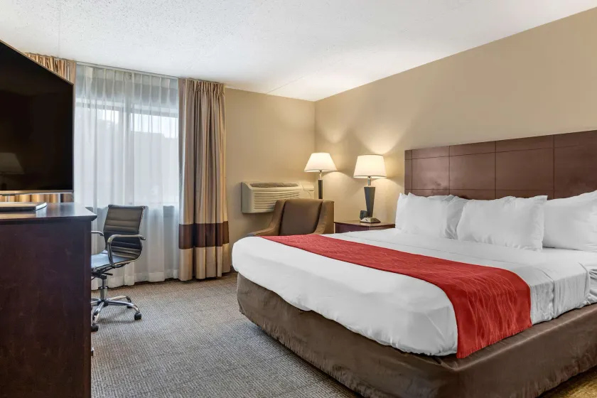 Comfort Inn Lansing West - Image 1