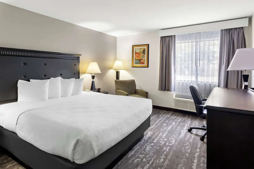 Best Western Saluki Inn - Image 1