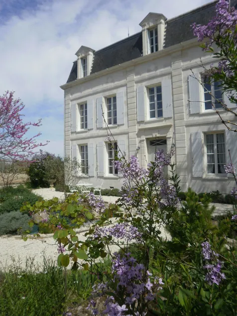 DOMAINE DE BERTHEGILLE - Image 1