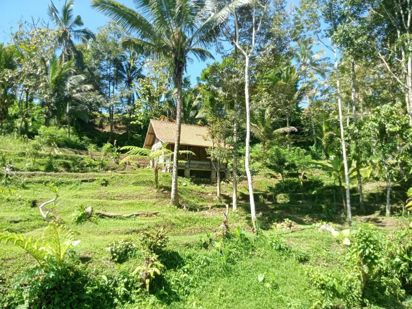duegoal farmhouse - Image 1