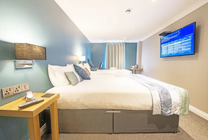 Dolphin Rooms - Image 1