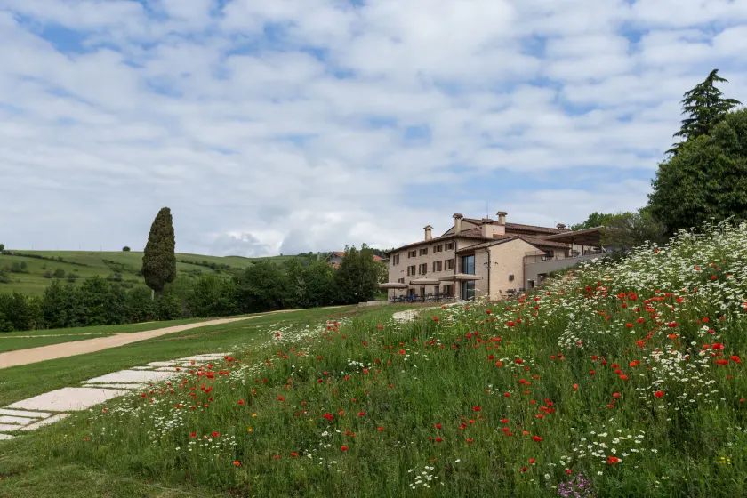 Ca' del Moro Wine Retreat - Image 1