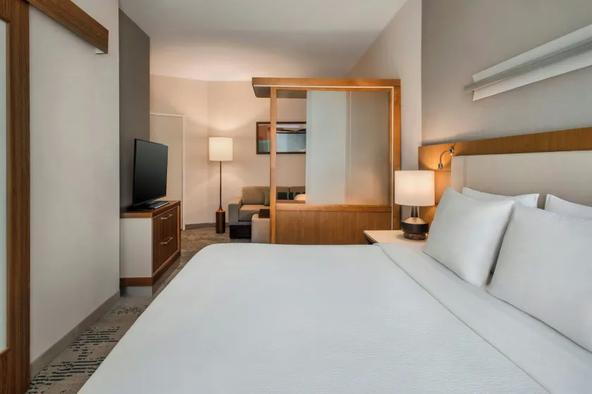 SpringHill Suites by Marriott Buffalo Airport - Image 1