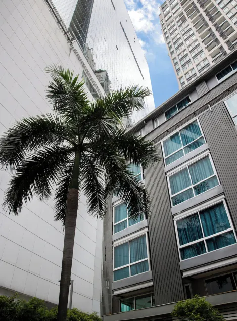Nantra Sukhumvit 39 - Image 1