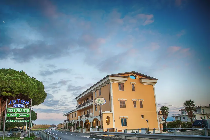 Palmed Hotel - Image 1