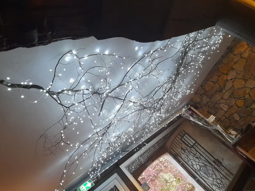 Hôtel Berceau Du Vigneron - Reception