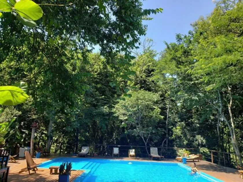 Selva de Laurel - Image 1