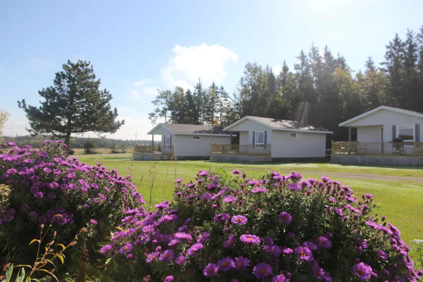Meadowview Cottages - Image 1