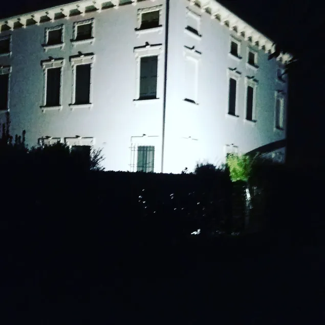 B&B Kiwi - Image 1
