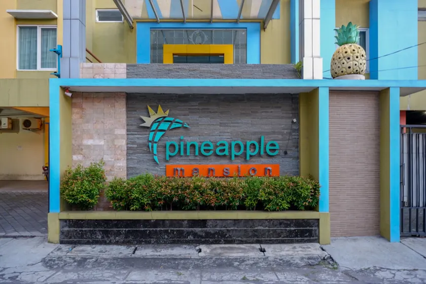 Pineapple Mansion Guest House Solo - Image 1